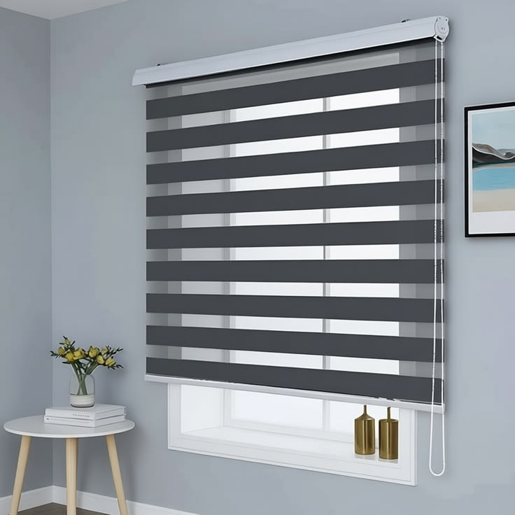 Zebra Blinds